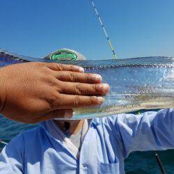 遊漁船 ニライカナイ 釣果