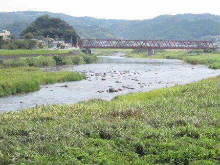 狩野川(狩野川漁業協同組合) 釣果