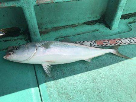 広進丸 釣果