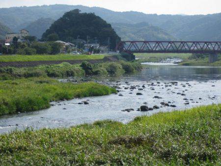 狩野川（狩野川漁業協同組合） 釣果