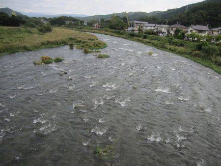 狩野川(狩野川漁業協同組合) 釣果
