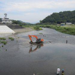 狩野川(狩野川漁業協同組合) 釣果
