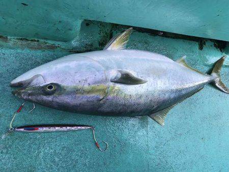 広進丸 釣果