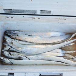 遊漁船 ニライカナイ 釣果