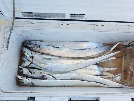 遊漁船 ニライカナイ 釣果