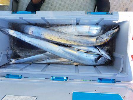 遊漁船 ニライカナイ 釣果