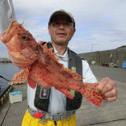 大進丸（新潟） 釣果