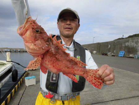 大進丸（新潟） 釣果