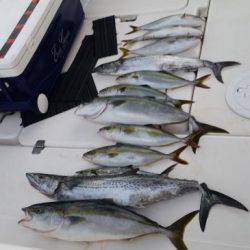 暁〜akatsuki〜 釣果