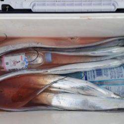 暁〜akatsuki〜 釣果