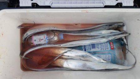 暁〜akatsuki〜 釣果