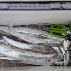 暁〜akatsuki〜 釣果