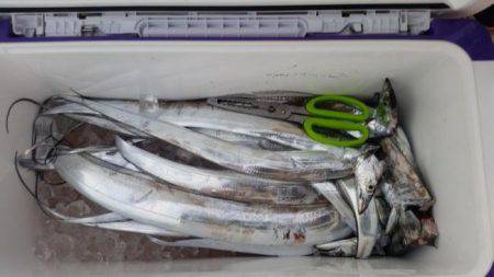 暁〜akatsuki〜 釣果