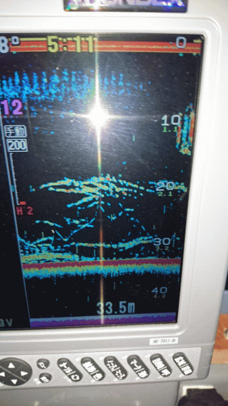 遊漁船ブルーウッズ 釣果