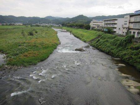 狩野川(狩野川漁業協同組合) 釣果