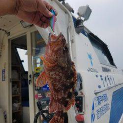 遊漁船　ニライカナイ 釣果