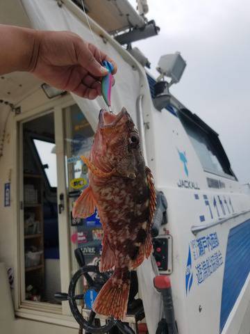 遊漁船　ニライカナイ 釣果