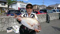 まこと渡船 釣果