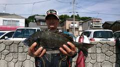 まこと渡船 釣果
