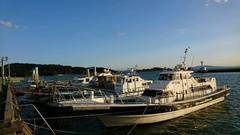 まこと渡船 釣果