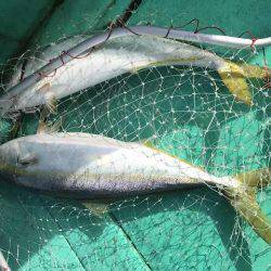 広進丸 釣果