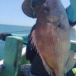 遊漁船 新鋭丸 釣果