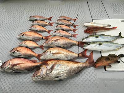 ミタチ丸 釣果