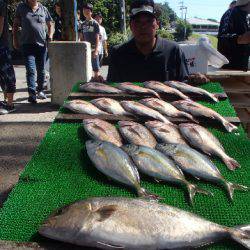 カタタのつり堀 釣果