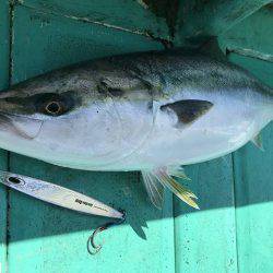 広進丸 釣果