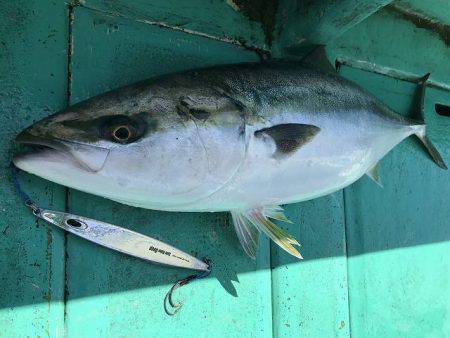 広進丸 釣果