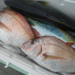 こうゆう丸 釣果