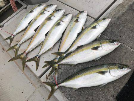 寿裕 （YOSHIHIRO） 釣果