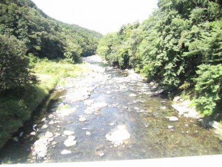 狩野川(狩野川漁業協同組合) 釣果