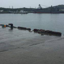 ソーダガツオ狙い