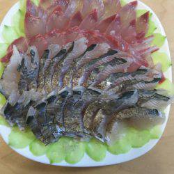 初のハマチ？ツバス？