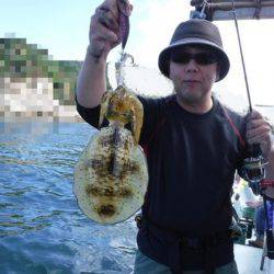 遊漁船 幸友丸 釣果