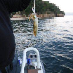 遊漁船 幸友丸 釣果