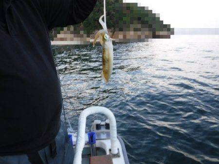 遊漁船 幸友丸 釣果