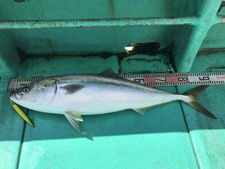 広進丸 釣果