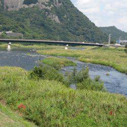 狩野川(狩野川漁業協同組合) 釣果