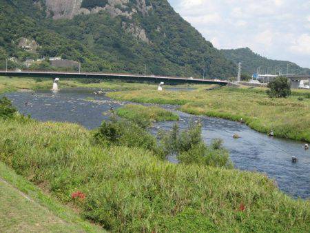 狩野川(狩野川漁業協同組合) 釣果