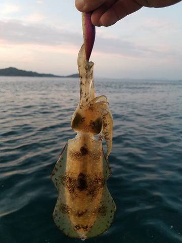 遊漁船 ニライカナイ 釣果