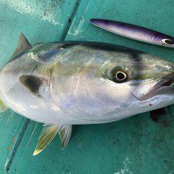 広進丸 釣果