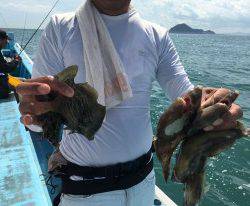 おざき丸 釣果