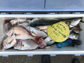 なかくに丸 釣果