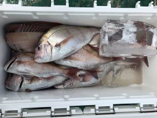 なかくに丸 釣果