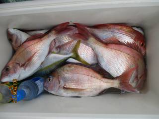 なかくに丸 釣果