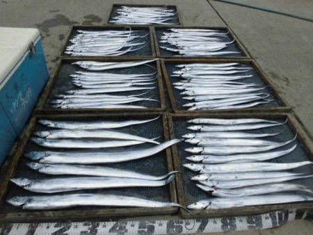 大進丸（愛知） 釣果