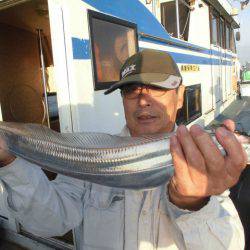 大進丸（愛知） 釣果