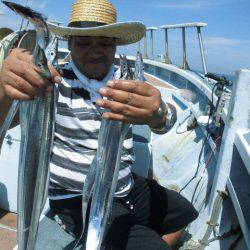 大進丸（愛知） 釣果